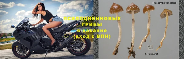 альфа пвп VHQ Белокуриха